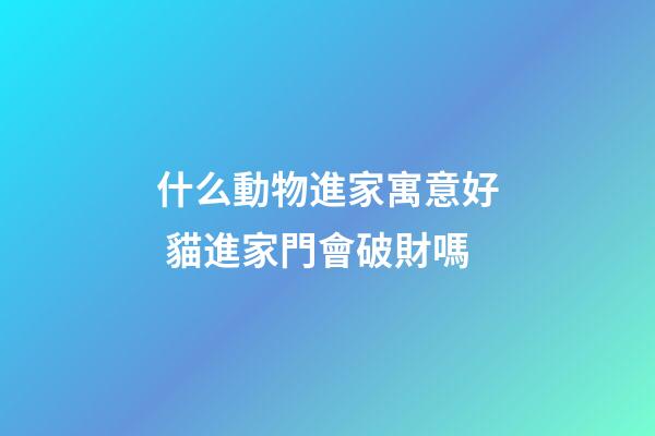 什么動物進家寓意好 貓進家門會破財嗎